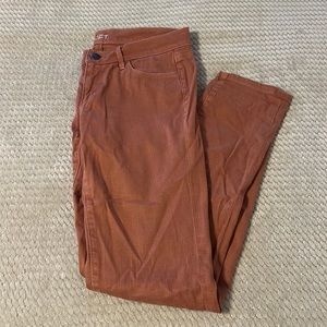 LOFT Modern Skinny Salmon Jeans